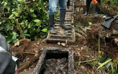 Uso responsable del alcantarillado